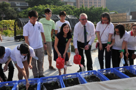 香港大學行政及財務副校長康諾恩博士（右四）與中國銀行（香港）個人金融業務主管（總經理）龔楊恩慈女士（右五），聯同港大同學及中銀香港義工參與啟動儀式，為天台農莊種植蕃茄苗。