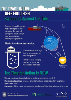 Going, Going Gone: The Trade in Live Reef Food Fish