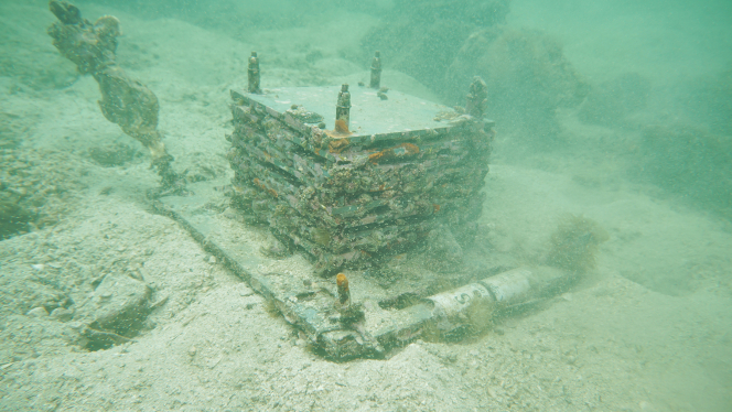 ARMS settlement plate deployed in Tung Ping Chau for two years. Many of these eight-level ARMS structures were found to have over 300 visible organisms living within.