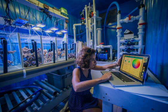 2. Dr. Isis Guibert controlling the light intensity for each aquarium.