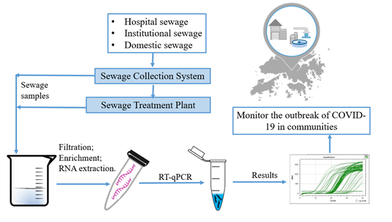 污水中SARS-CoV-2病毒的檢測流程
 