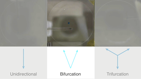 Depending on the crystal plane that interfaces with the droplet, the self-propulsion can be unidirectional, bifurcated, and even trifurcated. (A demonstration video is in the press release)