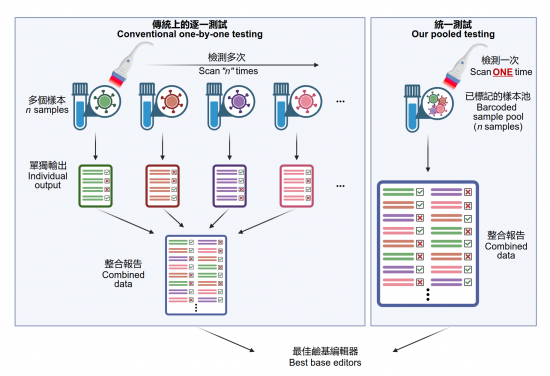 A new one-shot method enables testing all barcode-labelled precise genome editors’ performance with ease, circumventing the need of laborious one-by-one tests.
 