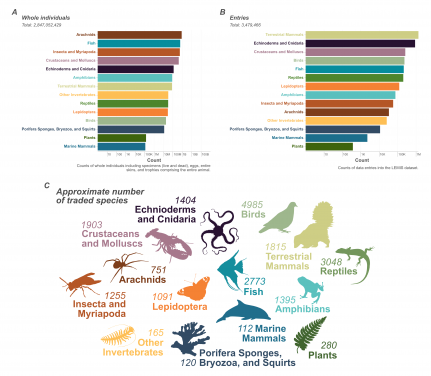 Image 2: This graphic illustrates data from LEMIS on wildlife in trade in the United States, showing the number of individuals traded for each animal group. Image adapted from the journal paper The magnitude of legal wildlife trade and implications for species survival (PNAS, 2025).

 